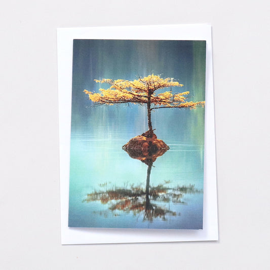 CARDS - Blank - Nature 1 (Set of 3)