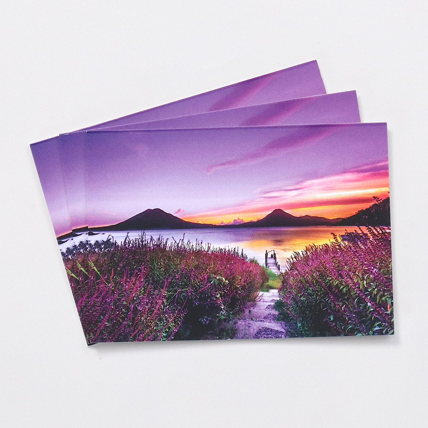 CARDS - Blank - Nature 2 (Set of 3)