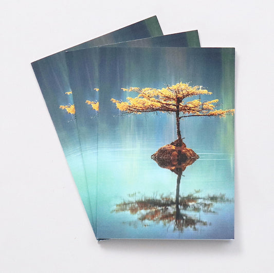 CARDS - Blank - Nature 1 (Set of 3)