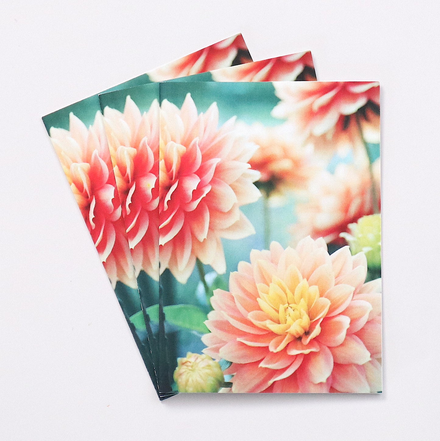 CARDS - Blank - Flower 1 (Set of 3)