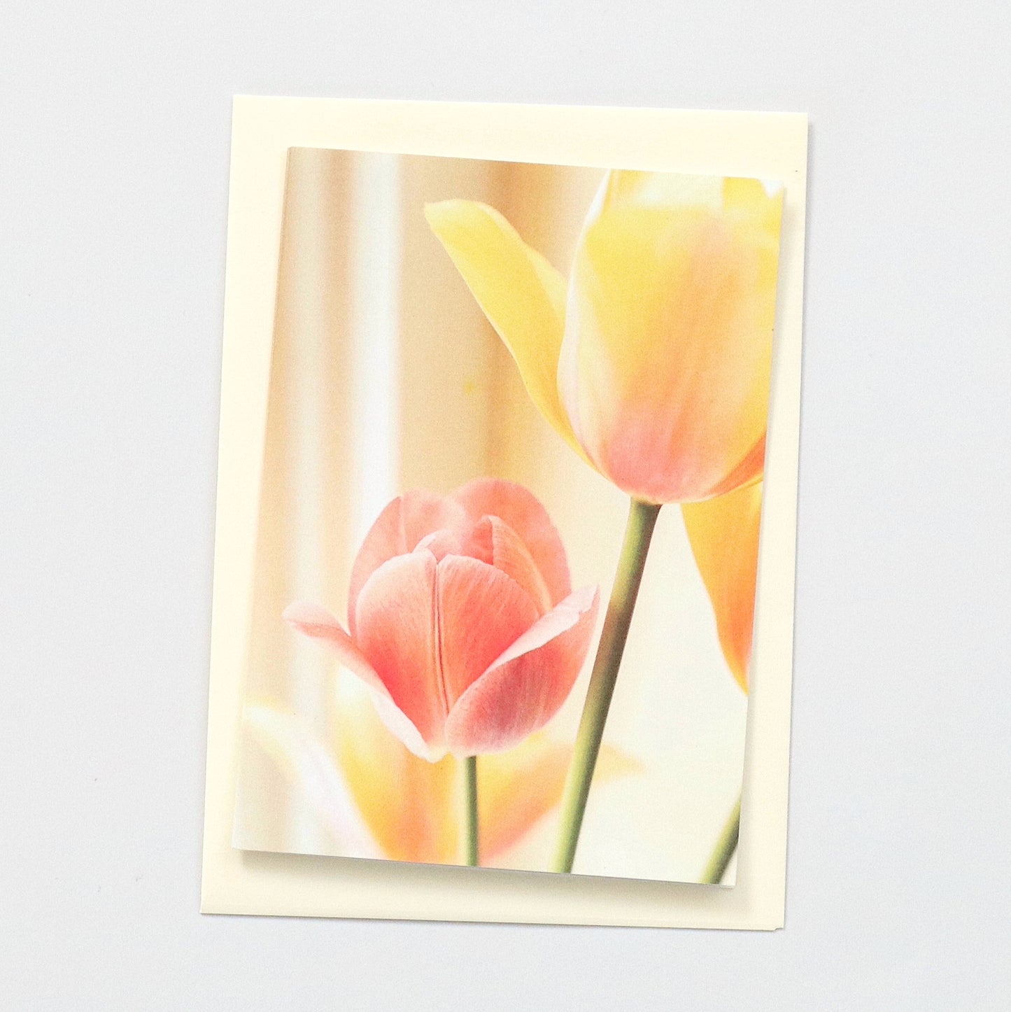 CARDS - Blank - Flower 2 (Set of 3)